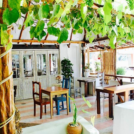 Posada Amor Hotel Boutique Puerto Morelos Exterior photo
